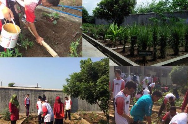 Toga Disekolahku Toga Disekolahku